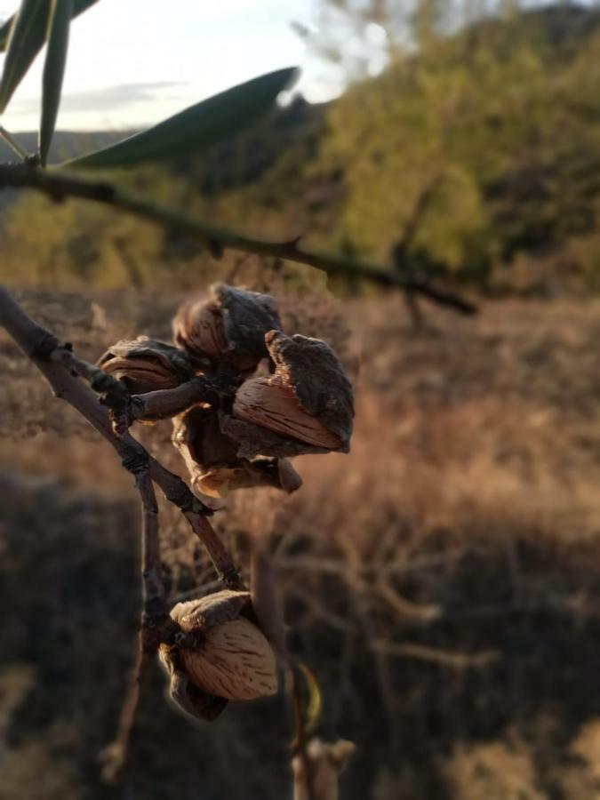 莫加多鲁Casas De Xisto别墅 外观 照片